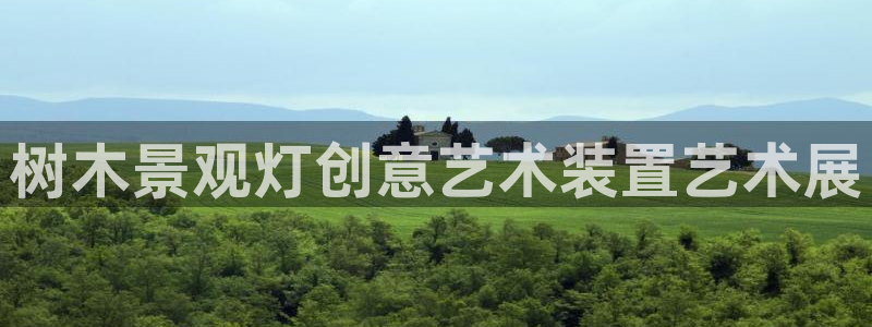 摩根娱乐平台:树木景观灯创意艺术装置艺术展