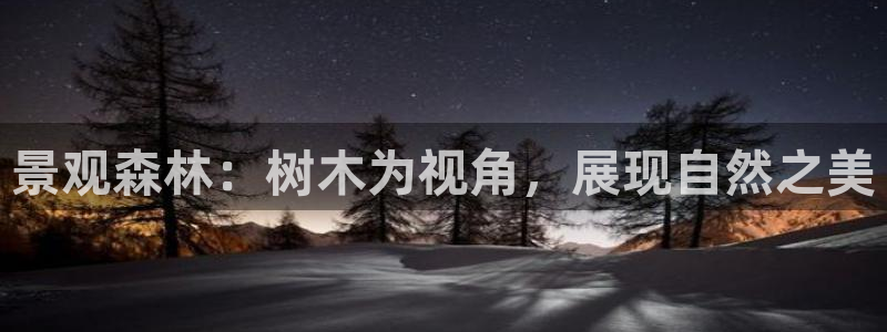 摩根娱乐注册平台:景观森林:树木为视角,展现自然之美