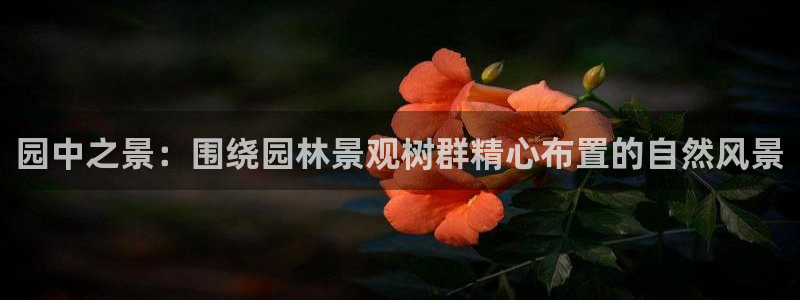 摩根娱乐宝机构代码:园中之景:围绕园林景观树群精心布置的自然风景