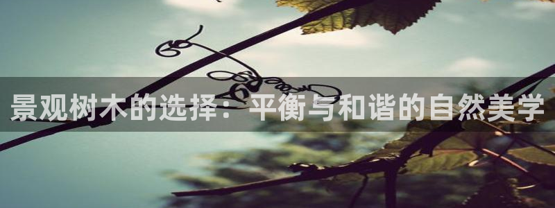 白宫摩根娱乐地址:景观树木的选择:平衡与和谐的自然美学